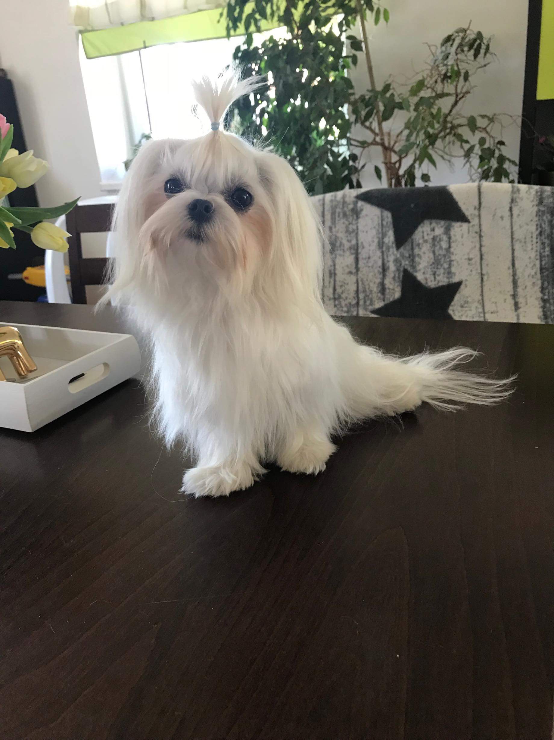 received_435050813661322