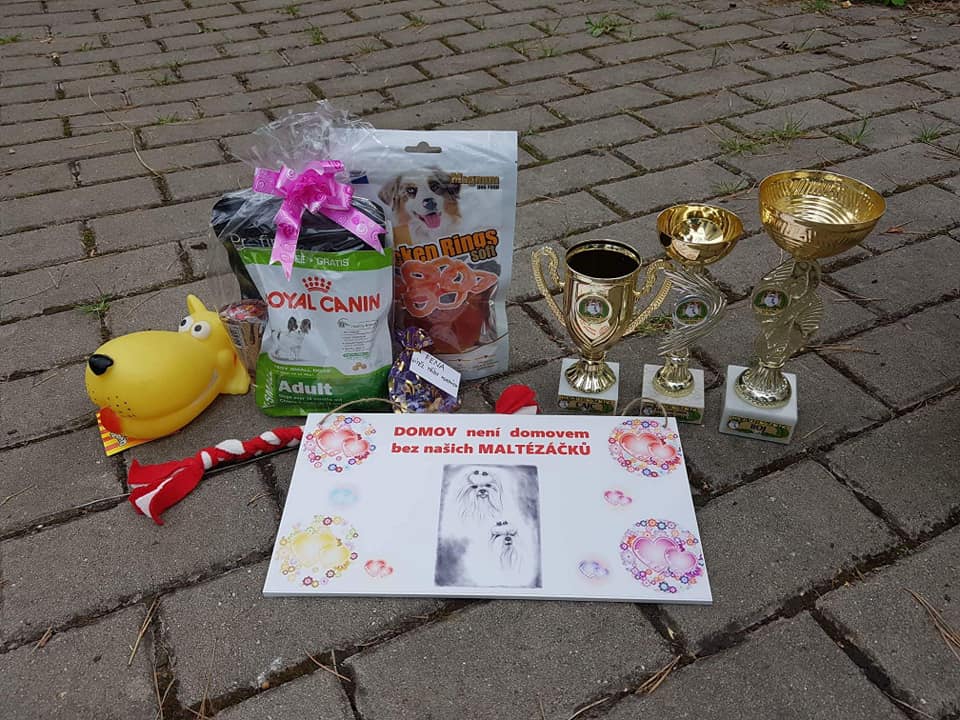 38492614_10204638880090049_6394844126331797504_n