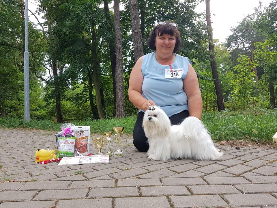 38494088_10204638878250003_7489090128497868800_n