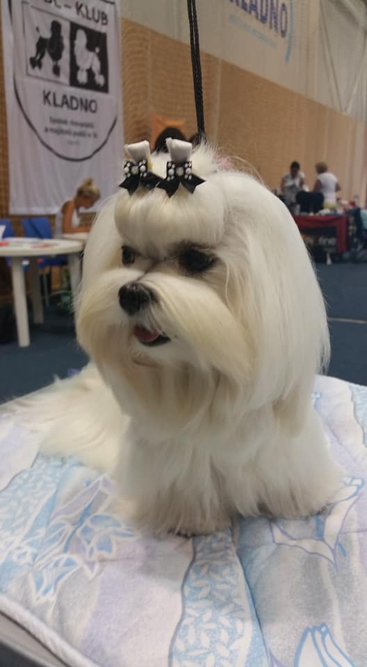 38630412_10204638880370056_6531629085133635584_n