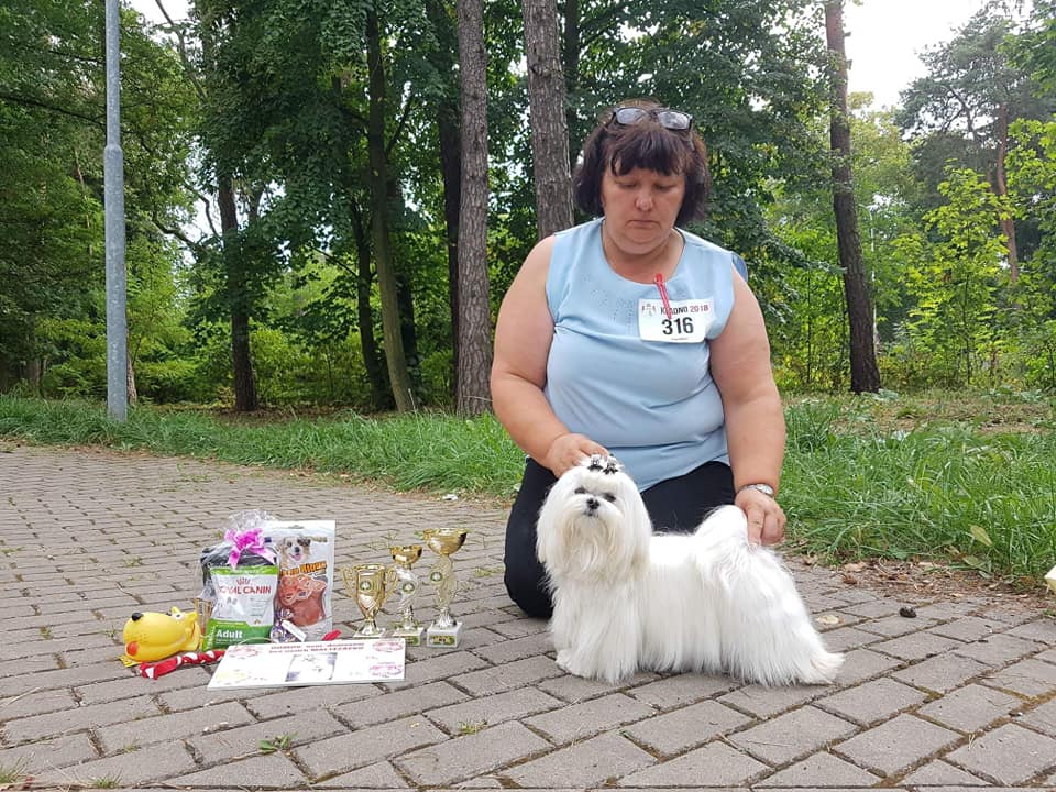 38631155_10204638878650013_8024742927643181056_n