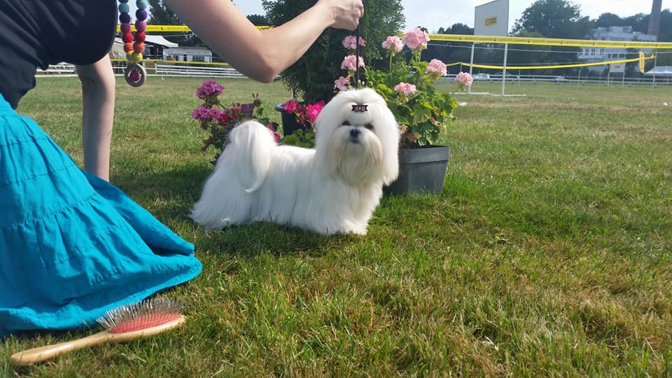 37235013_10204572982402648_8988992974272593920_n